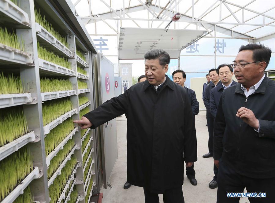 Си Цзиньпин посетил с инспекцией провинцию Хэйлунцзян