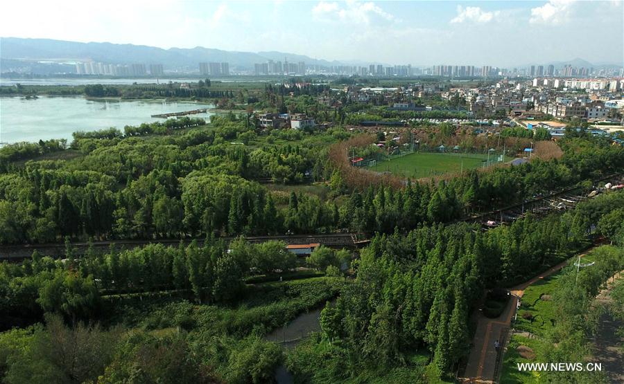 Сохранение экосистемы озера Дяньчи в провинции Юньнань
