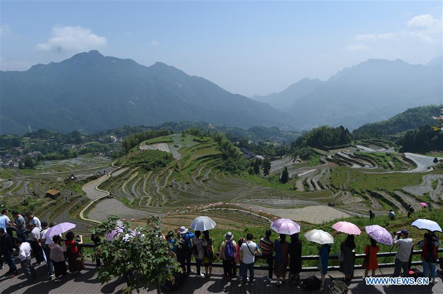 Открытие Фестиваля вспашки террасных полей в уезде Юньхэ
