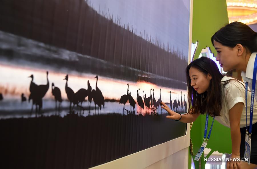 （XHDW）（1）生态文明贵阳国际论坛2016年年会开幕式举行