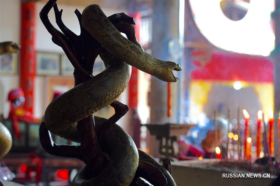 Туристический фестиваль "Поклонение змее" в провинции Фуцзянь
