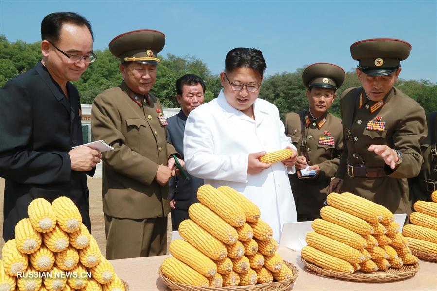 Ким Чен Ын посетил ферму №1116