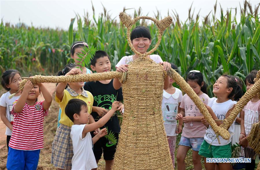 "Кукурузный лабиринт" в провинции Хэбэй