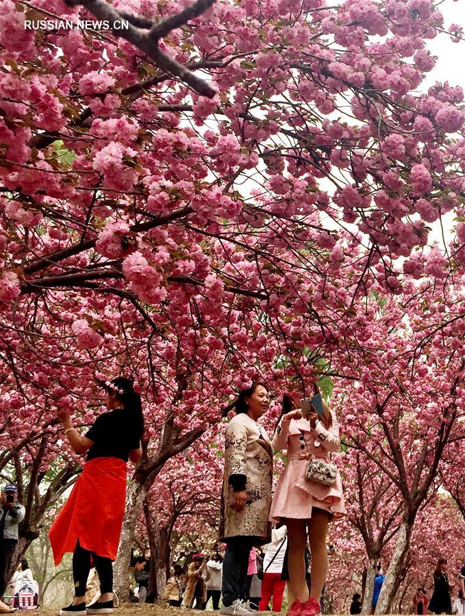 （年终报道）（21）四季美丽中国——春