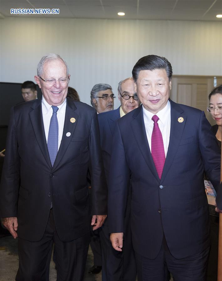 Си Цзиньпин встретился в Дананге с президентом Перу П.П.Кучински