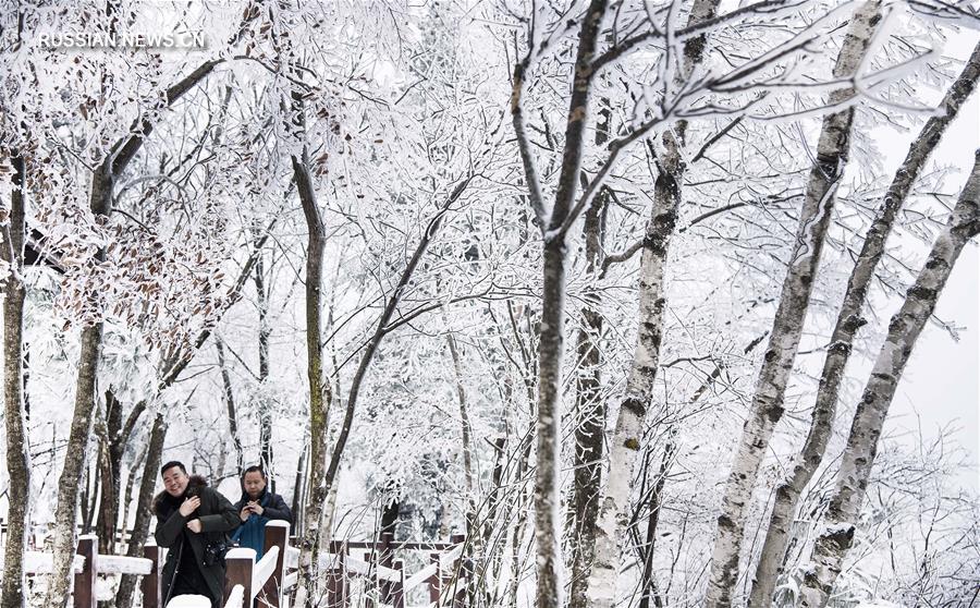 Лесопарк Цзыбошань под покрывалом свежевыпавшего снега