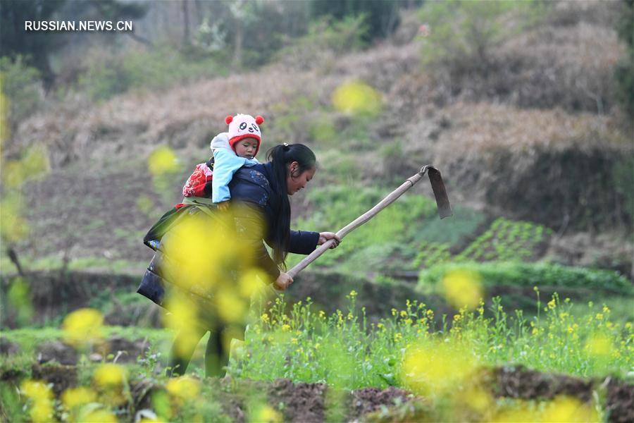 Весенние сельскохозяйственные работы в Чунцине