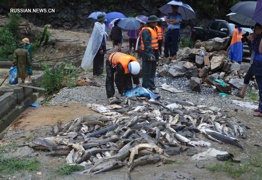 Во Вьетнаме в результате проливных дождей погибли семь человек