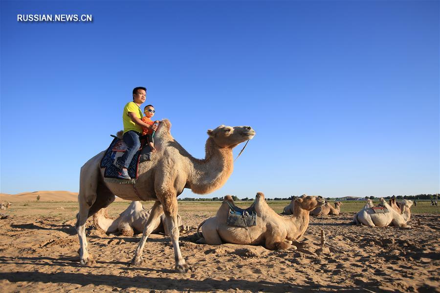 Туристический сезон в пустыне Кузупчи на севере Китая