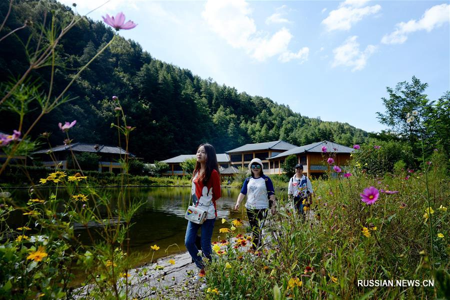 "Изумрудные воды и зеленые горы" стали "несметными сокровищами" для бедных жителей уезда Ниншань