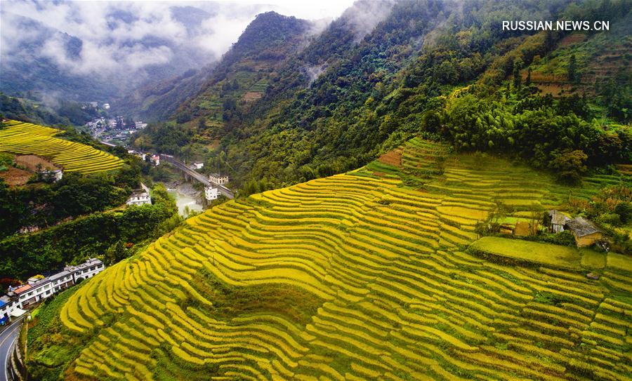 Террасированные поля в деревне Гуйхуа провинции Шэньси