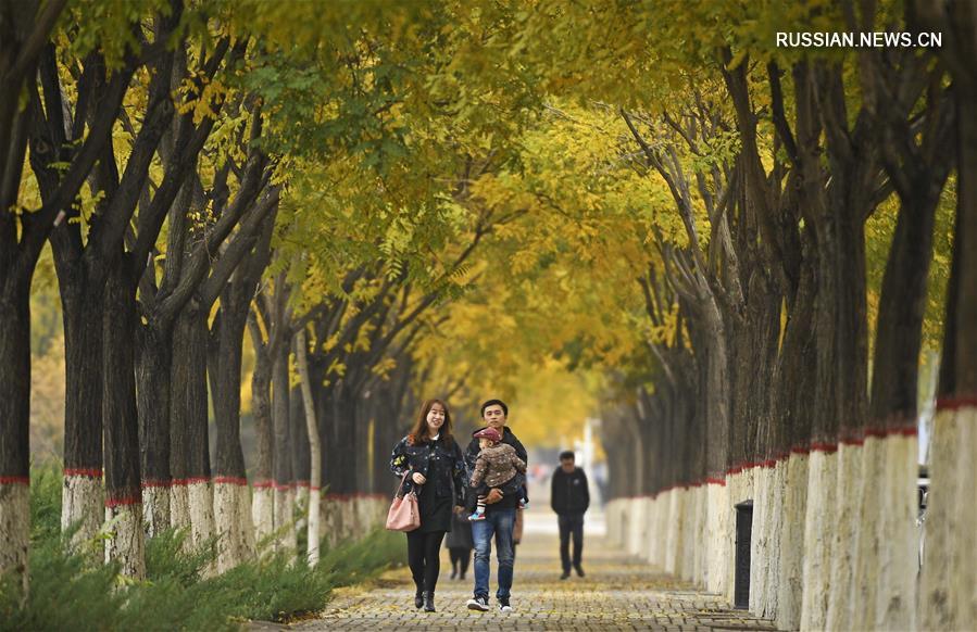 Поздний октябрь в городе Иньчуань