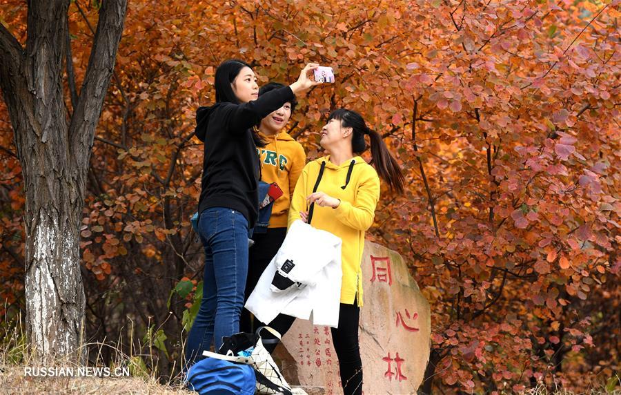 Осень в пекинском парке Бадачу