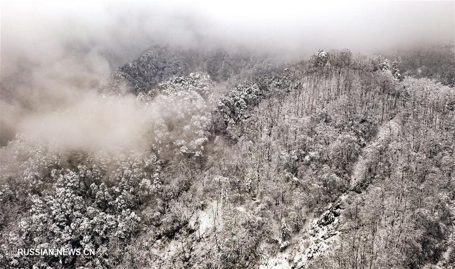 "Царство облаков и тумана" в горах Циньлин на северо-западе Китая