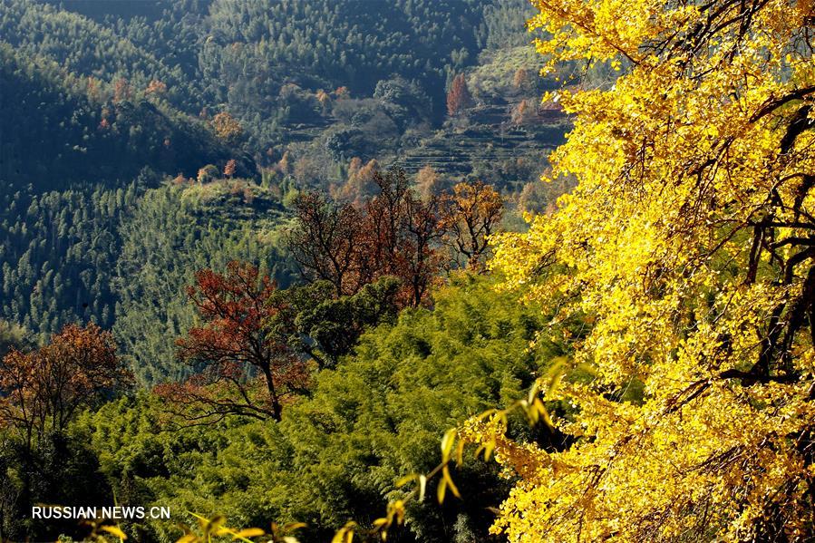 Поздняя осень в горах провинции Фуцзянь