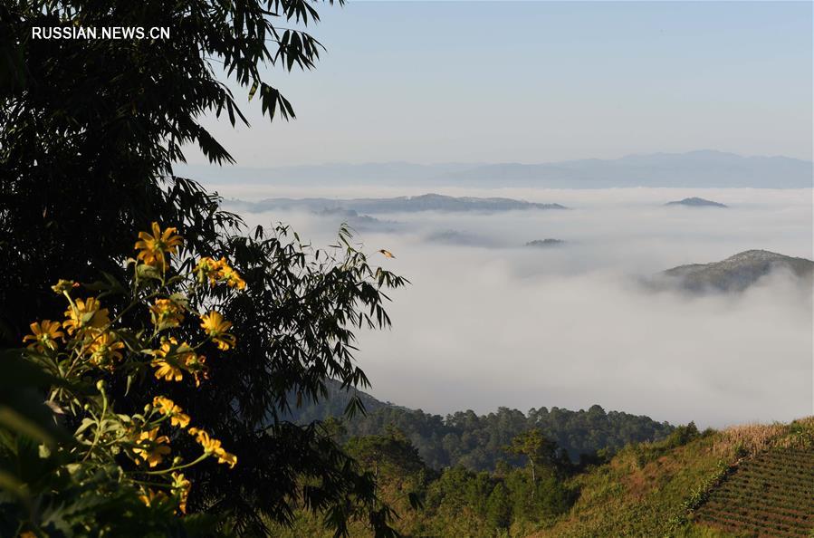Зимний туман в горах провинции Юньнань