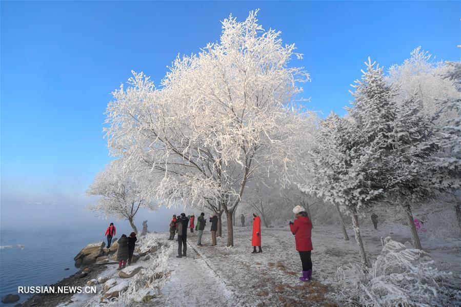 Украшенная инеем природа в городе Цзилинь на северо-востоке Китая