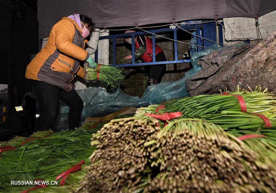 Выращивание овощей в уезде Лаотин приносит благосостояние местным фермерам 