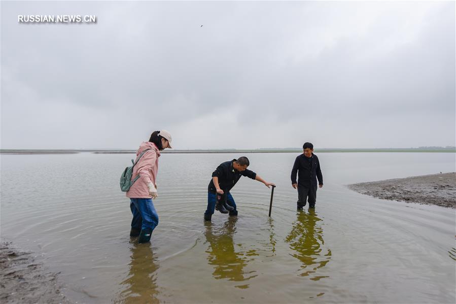Ученые работают над улучшением экологической среды озера Дунтинху