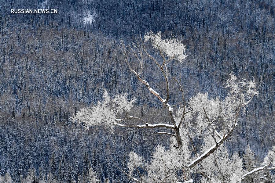 Завораживающая красота зимнего Канаса