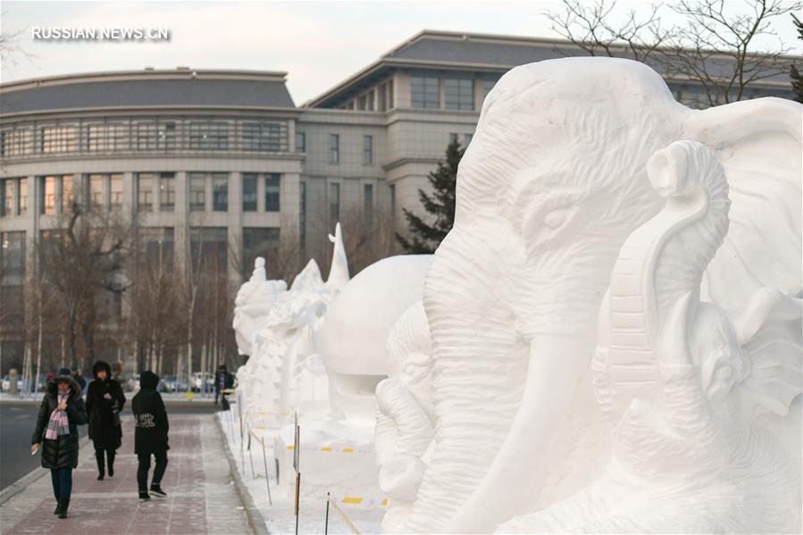 Снежные скульптуры в университетском кампусе 