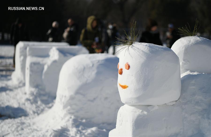 Семейный конкурс на лучшие скульптуры из снега в Харбине