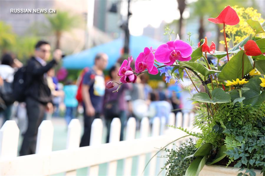 Цветочная выставка в Сянгане привлекает многочисленных туристов