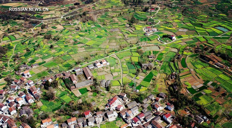 Пейзаж весенних полей в провинции Шэньси на северо-западе Китая