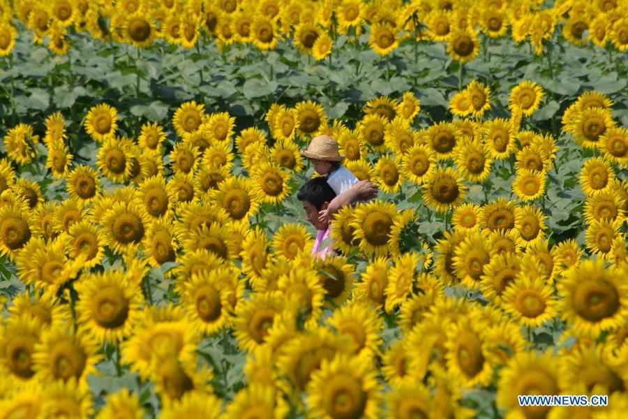 （国际·编辑连线）（2）夏天，多么不舍说再见