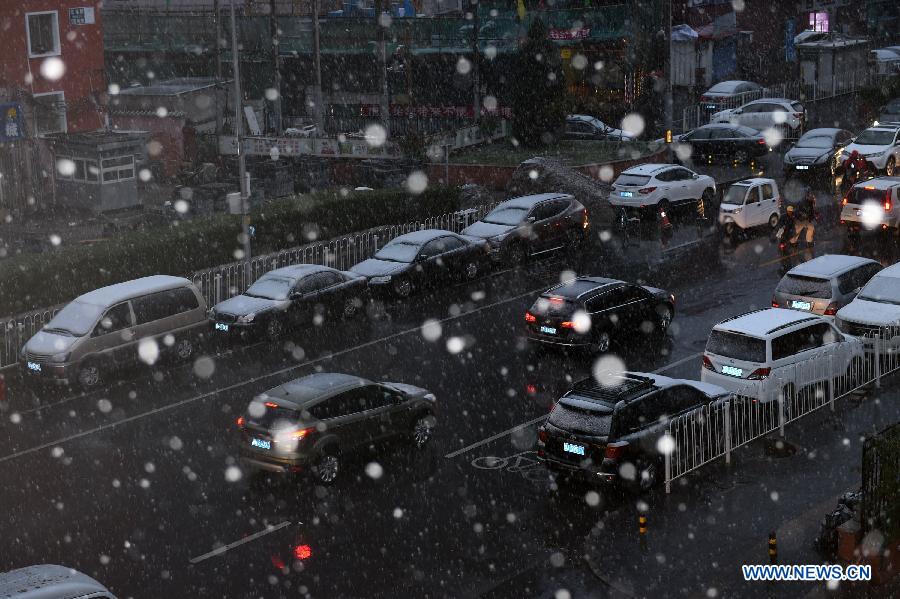 （生态）（1）京城降雪