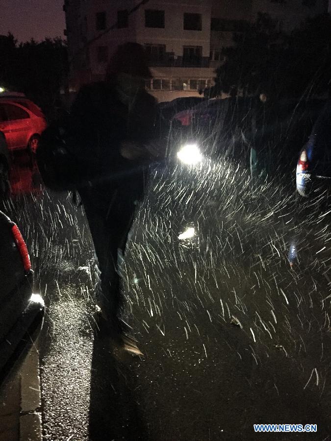 （生态）（2）京城降雪