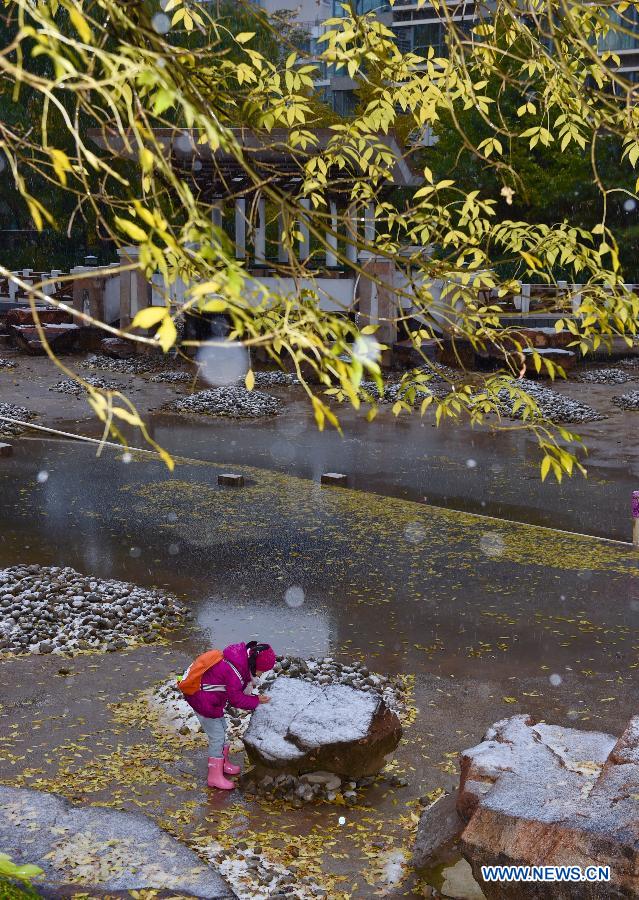 （生态）（3）京城降雪
