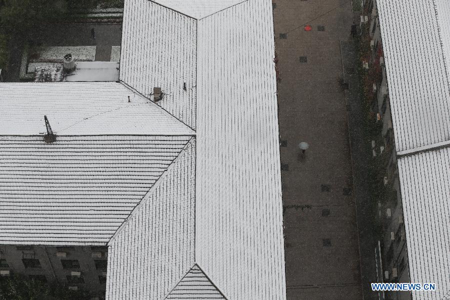 （生态）（6）京城降雪