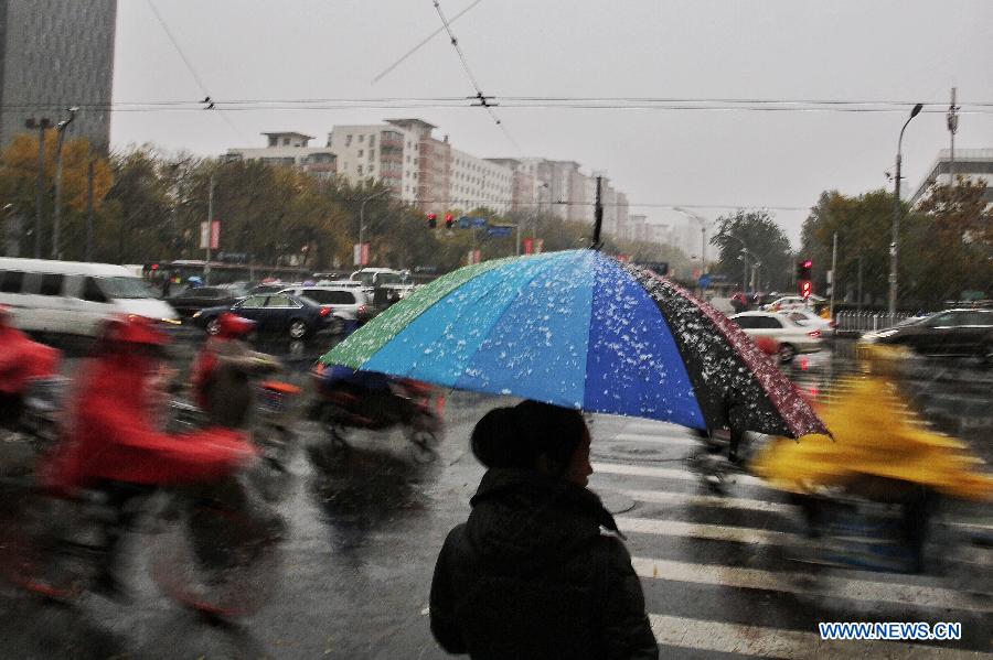 （生态）（9）京城降雪
