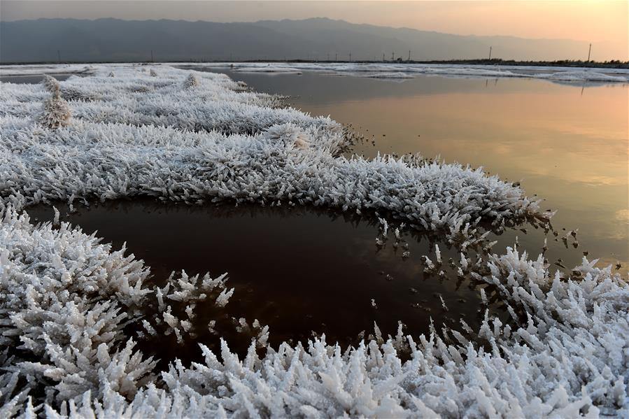 CHINA-SHANXI-SALT LAKE-MIRABILITE RIME (CN)