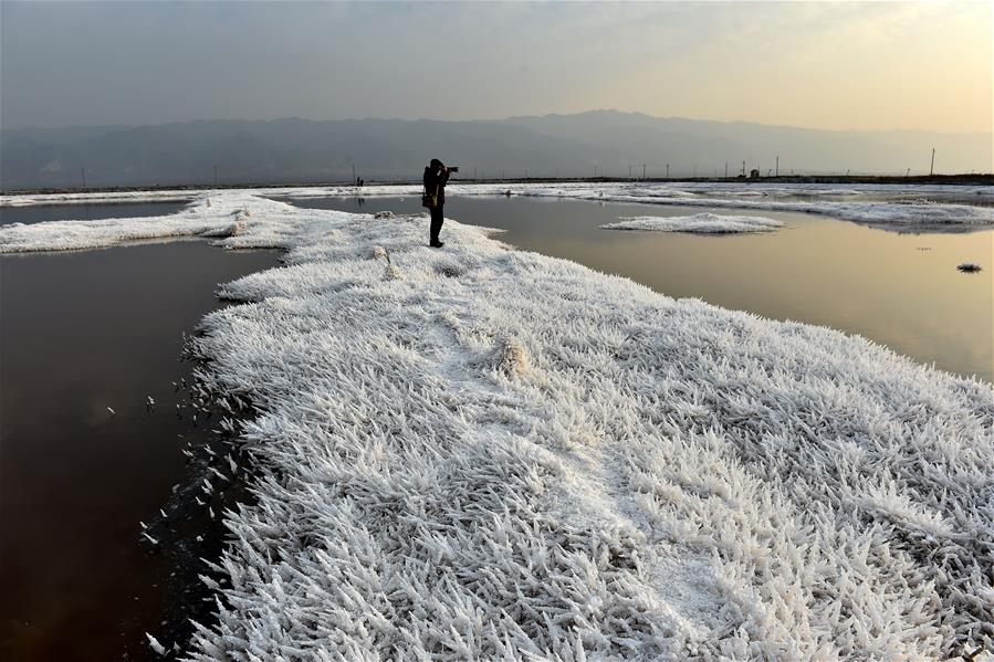 CHINA-SHANXI-SALT LAKE-MIRABILITE RIME (CN)
