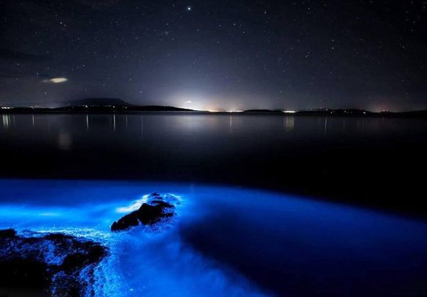 Планктон придает австралийской реке великолепное голубое свечение