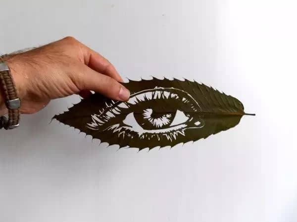 Листья превращаются в произведения искусства в руках художника Omid Asadi