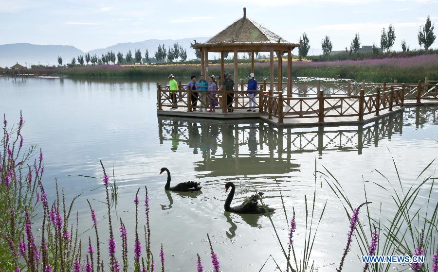 #（大江大河）（3）张掖国家湿地公园生态美
