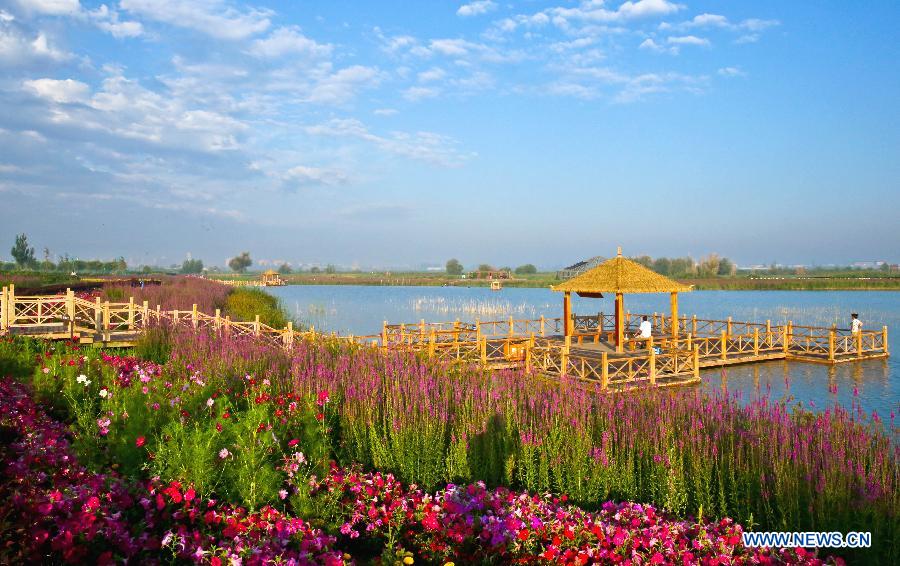 #（大江大河）（5）张掖国家湿地公园生态美