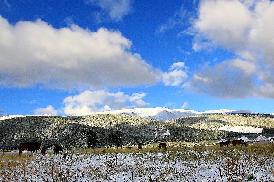 #CHINA-XINJIANG-HAMI-SNOW(CN)