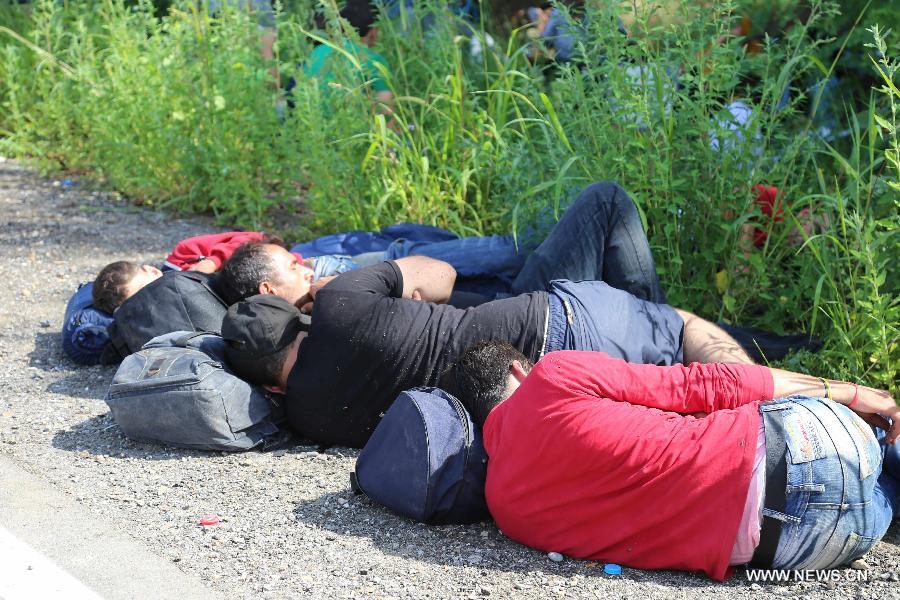 （国际）（2）塞匈边境难民聚集