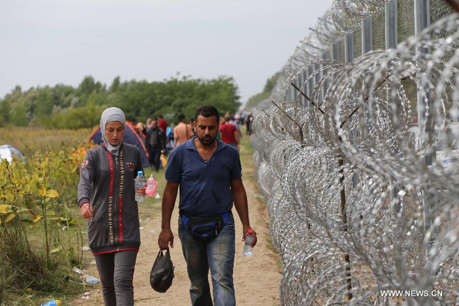 （国际）（4）塞匈边境难民聚集