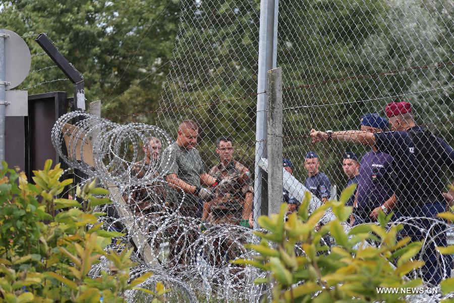 （国际）（3）塞匈边境难民聚集