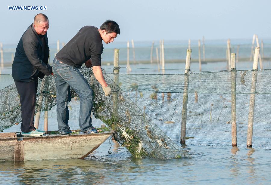 #CHINA-JIANGSU-HONGZE-HAIRY CRAB SEASON (CN)