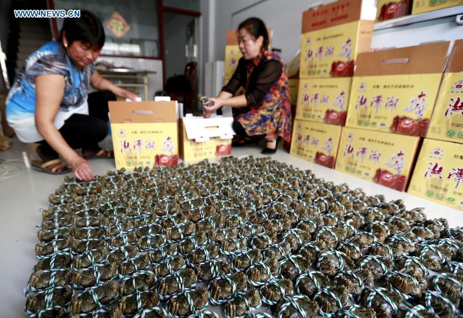 #CHINA-JIANGSU-HONGZE-HAIRY CRAB SEASON (CN)