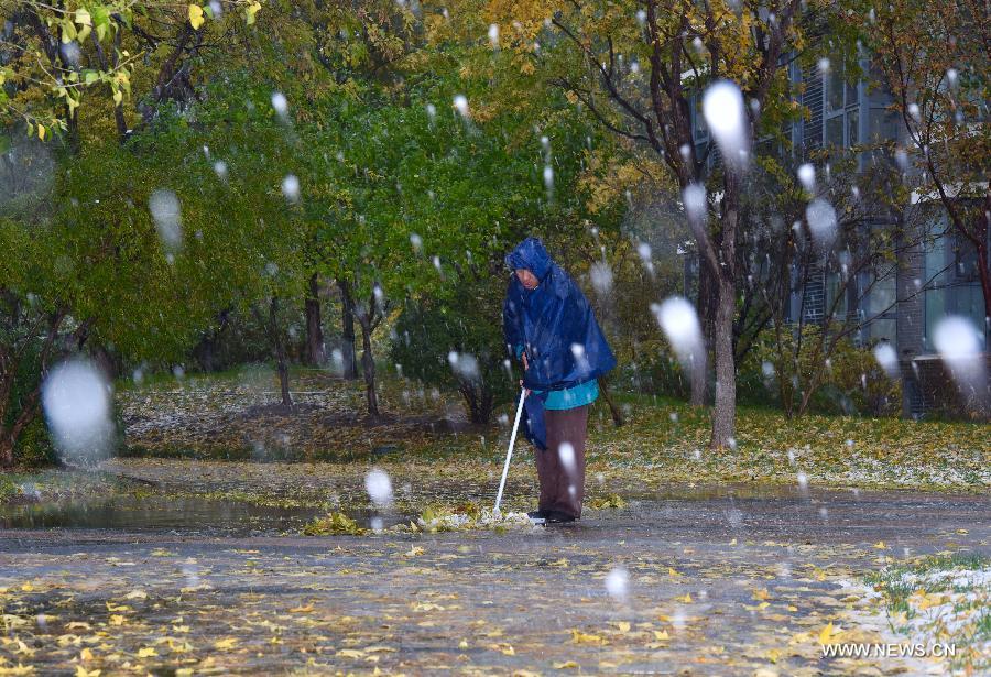 （生态）（4）京城降雪