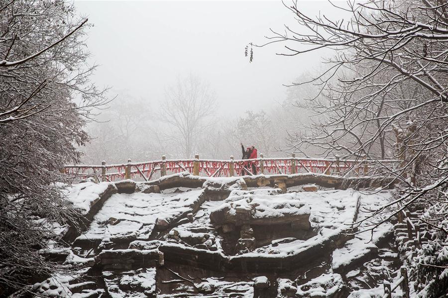 #CHINA-TIANJIN-SNOW SCENERY (CN)