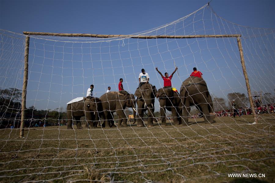 （国际）（1）尼泊尔大象节