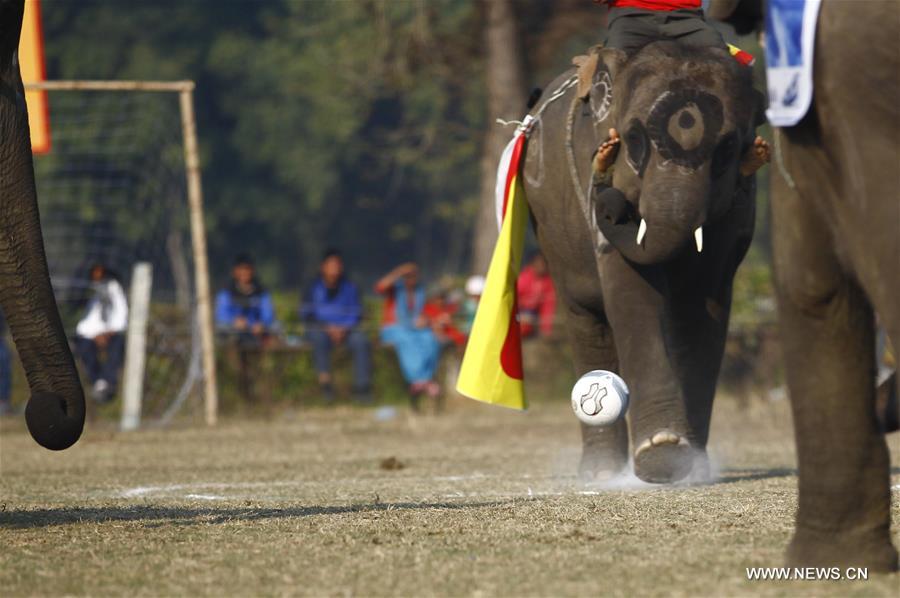 （国际）（4）尼泊尔大象节